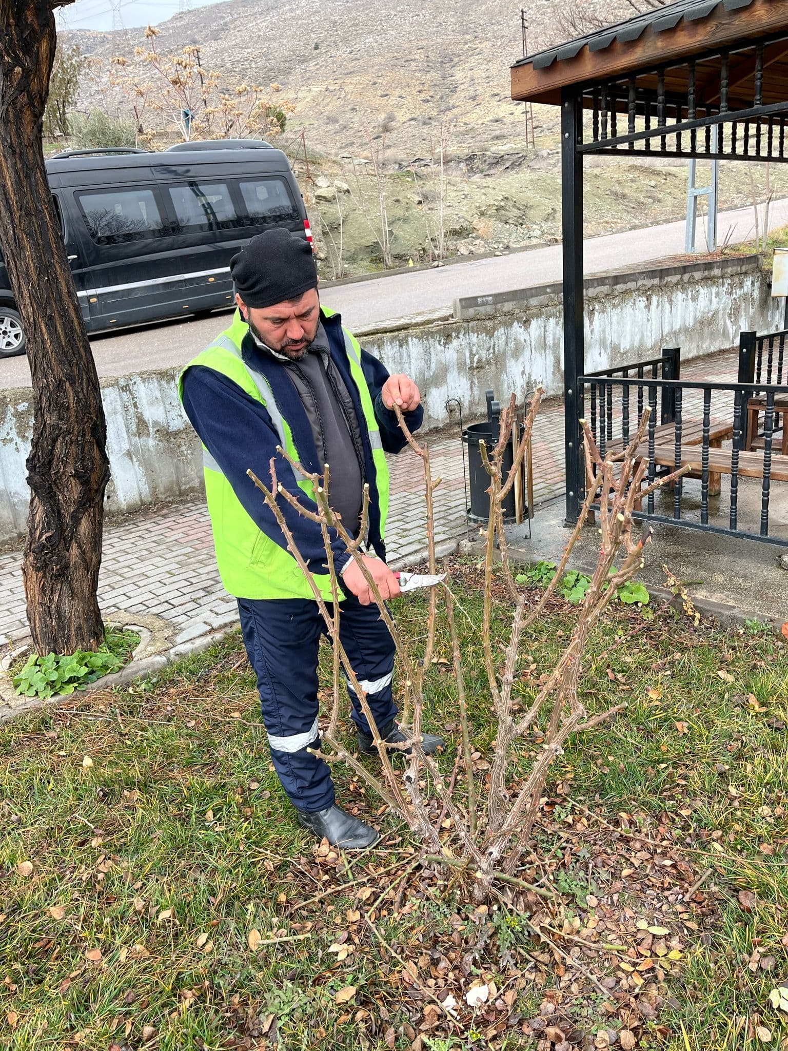 İLÇEMİZ GENELİNDE GENÇLEŞTİRME VE BUDAMA ÇALIŞMALARIMIZ SÜRÜYOR