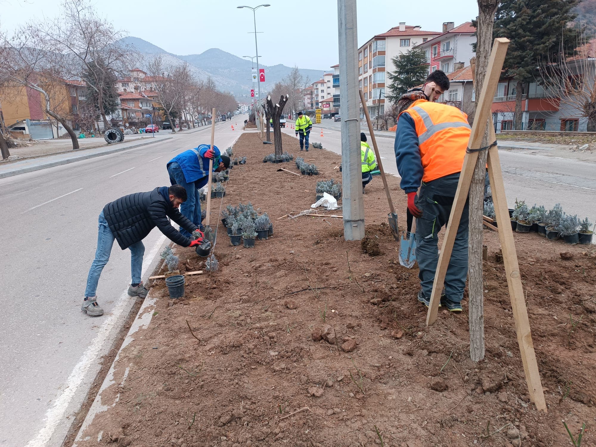 İLÇEMİZDEKİ ORTA REFÜJÜ GÜZELLEŞTİRME KAPSAMINDA EKİPLERİMİZ ÇALIŞMALARINI ARALIKSIZ SÜRDÜRÜYOR