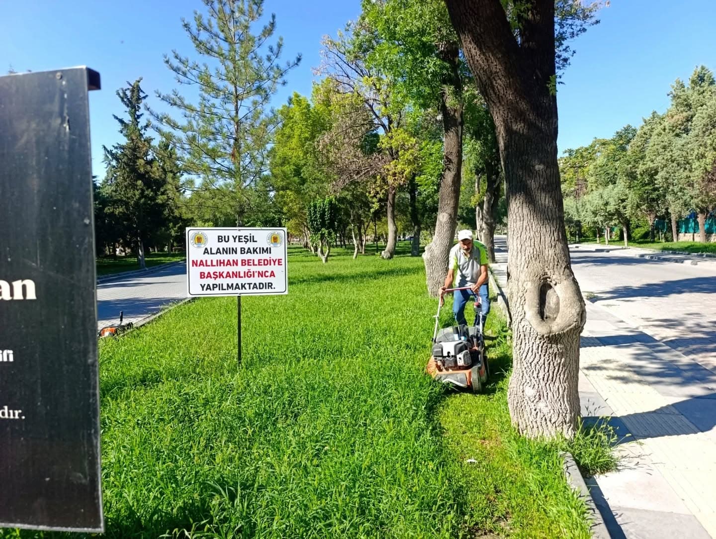 Çayırhan Mahallemizde yeşil alanlarımızda bakım ve çim biçme çalışmaları tüm hızıyla devam ediyor.